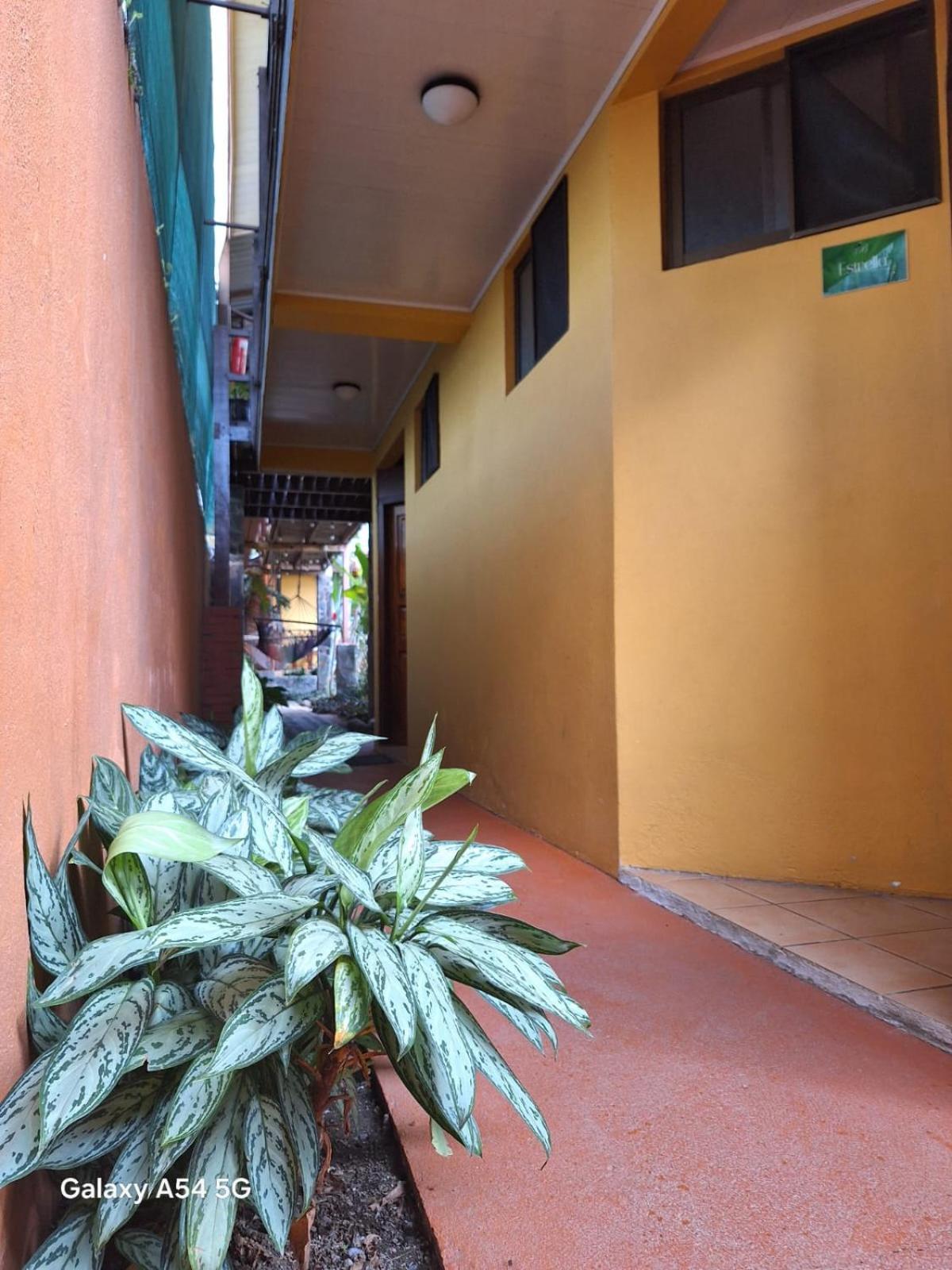 Iris Arenal Hotel La Fortuna Extérieur photo